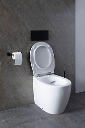 Allen Brau Унитаз приставной Fantasy 4.11007.20 белый глянец – фотография-31